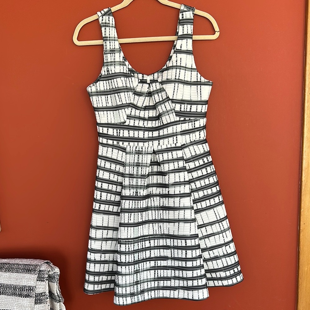Stylish Black and White Striped Dress